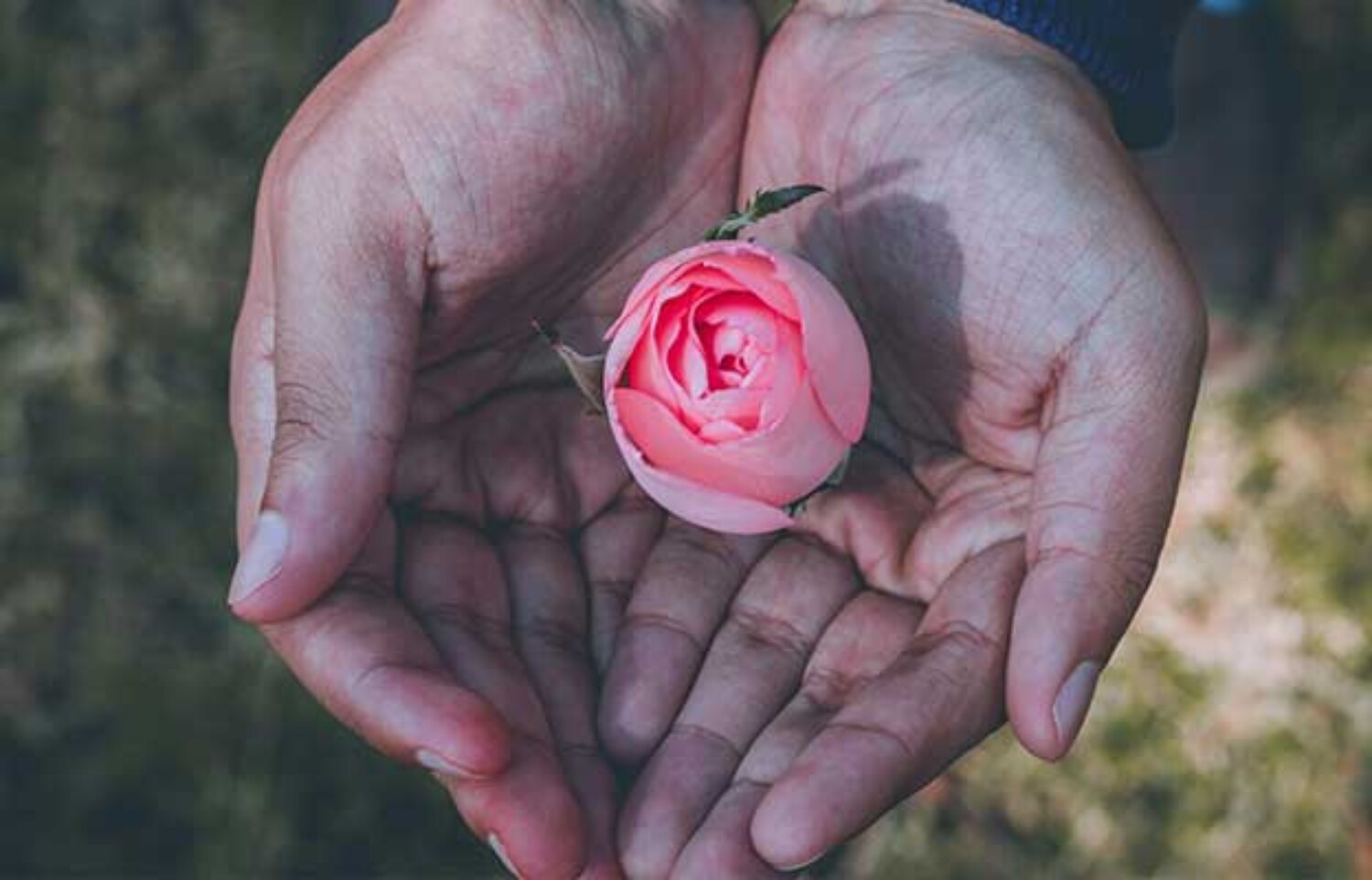 Psychotherapie Einzelsitzung